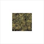 Waldboden-Gras 